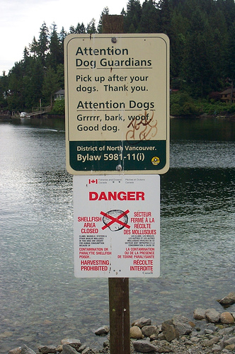 Park dog sign attention dogs god language